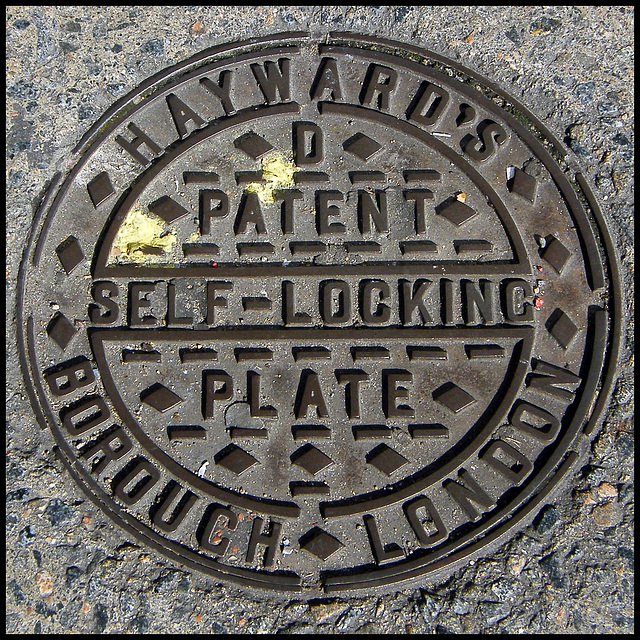 Hayward's D Self-Locking Plate