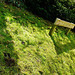 weston church, herts.grave of local c14 giant outlaw jack o'legs, who was hung in baldock for stealing flour for starving villagers. his last arrow landed here to mark his burial place, fired from 3 miles away.