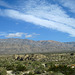 Coachella Valley Preserve (6336)