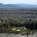 Coachella Valley Preserve (6344)