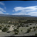 Coachella Valley Preserve pano