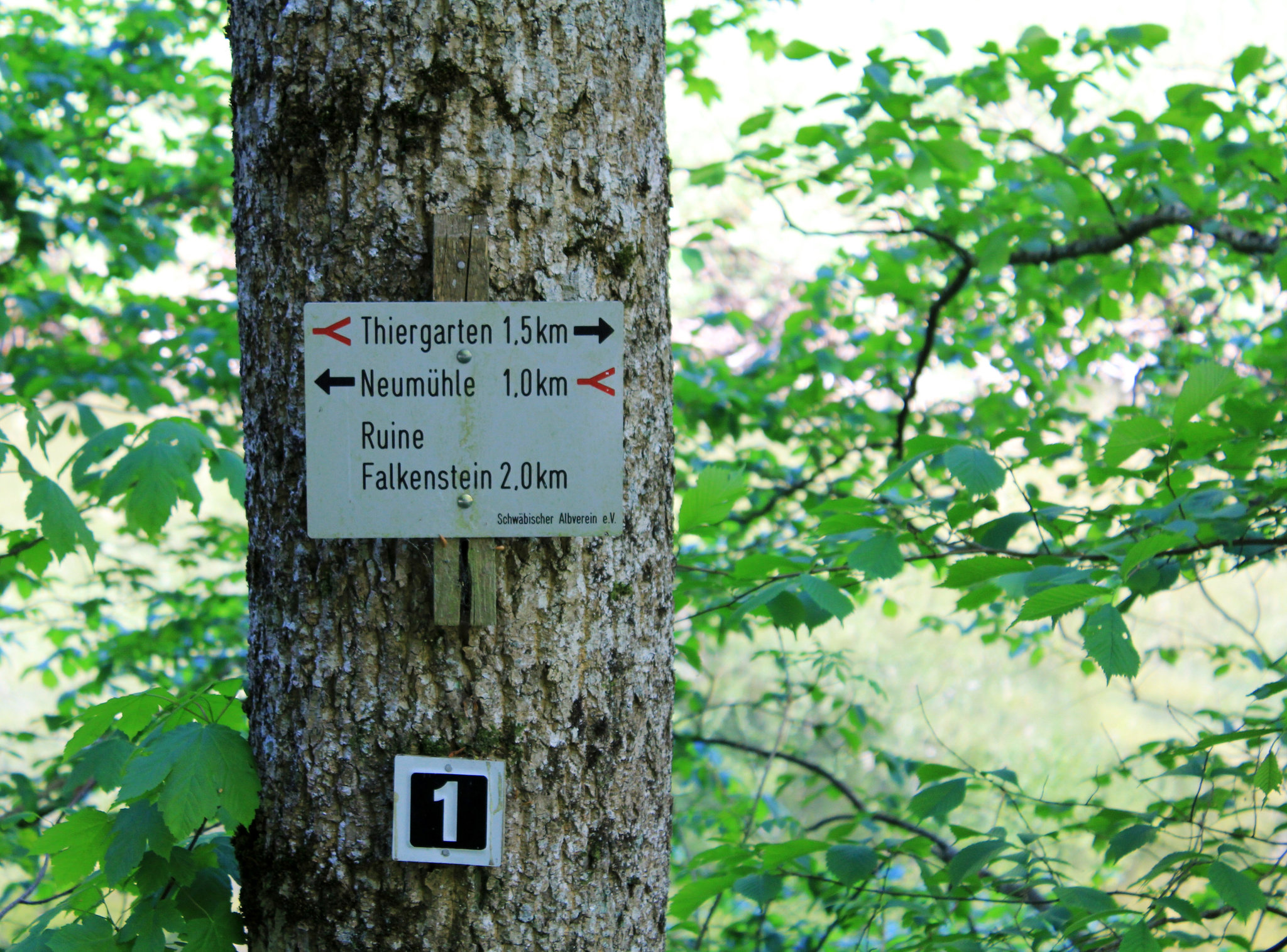 Oberes Donautal