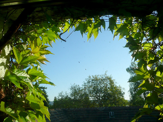 Schöner Ausblick am Morgen