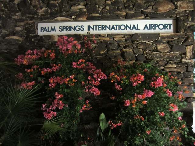 Palm Springs Airport (0158)