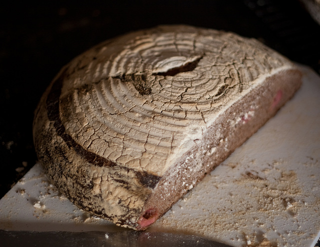 Wholemeal spelt with rhubarb, raspberry and honey