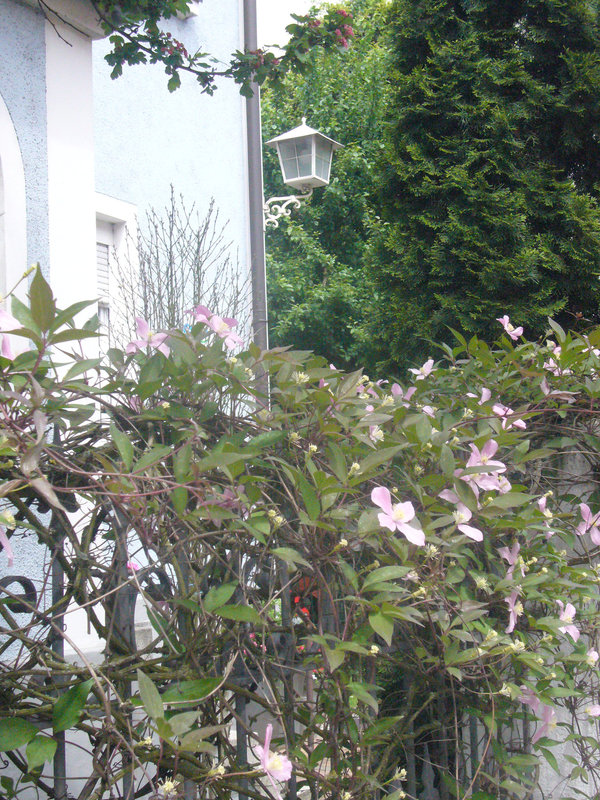 Zaunschmuck