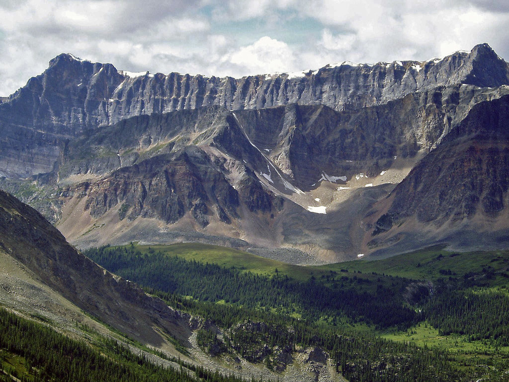 Maligne View