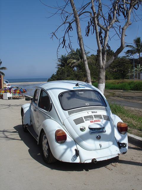 Sayulita, Nayarit. Mexique / 19 février 2011.