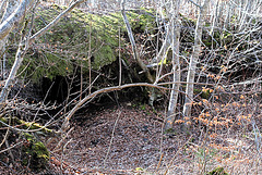 cavité- sous-bois et sous-sol