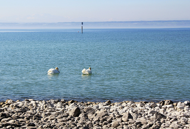 Bodensee