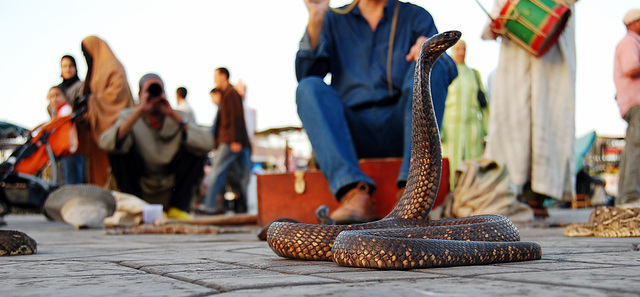 Me obligaron...Plaza Djemaa el Fna. Marraquech