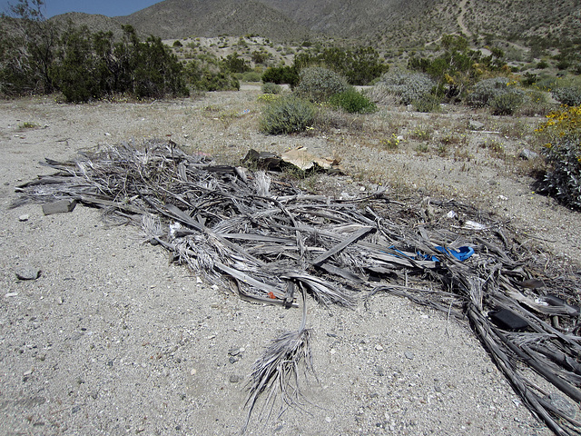 Blind Canyon Trash (0347)