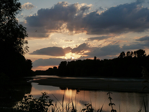Altrhein mit Blick auf die Rheininsel