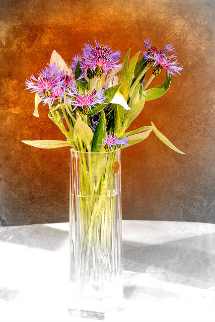 Variation sur un bouquet II