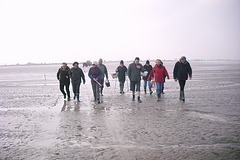 Ballade en baie du Mont Saint Michel