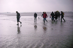 Ballade en baie du Mont Saint Michel