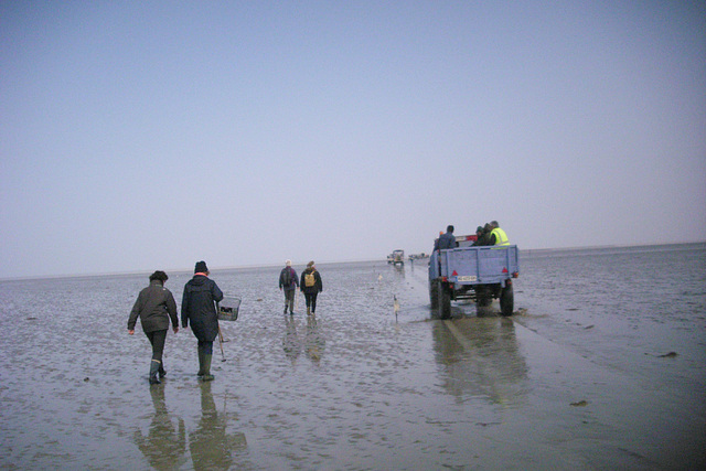 Courage les marcheurs ! Une bonne partie de pêche vous attend !