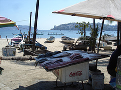 Acapulco, Mexique / 8 février 2011.