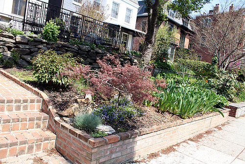 14a.Houses.1500BlockQ.NW.WDC.15April2011