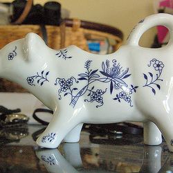 bovo (fotokolekto) bovo (fotokolekto)