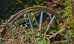 Charrette dissimulée dans un fourré Charrette dissimulée dans un fourré