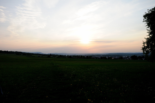 Den Schwarzwald im Rücken