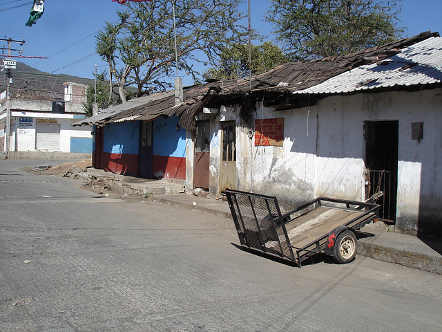 Los Reyes, Michoacán. Mexique /   27 mars 2011.