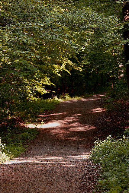 20110503 1824RTfw Kalletal Licht und Schatten