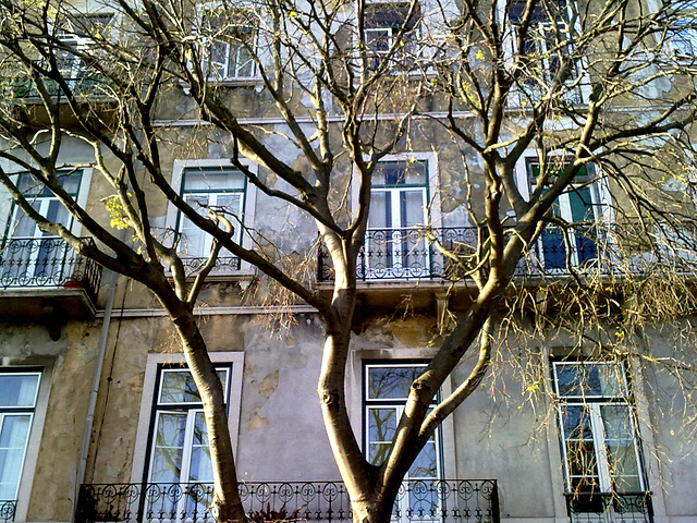 Benfica, old houses (24)