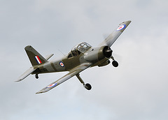 Percival Provost T1 (c)