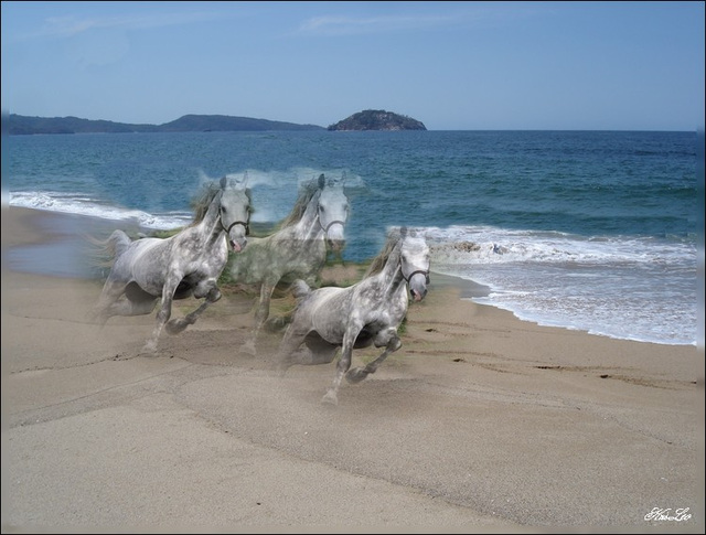 Chevaux d'écume Sur la page de La Colonia, Nayarit au Mexique