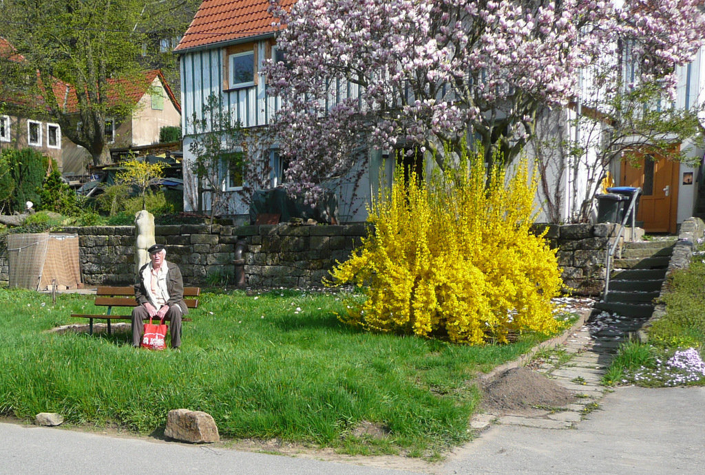 Frühling vor meinem Haus