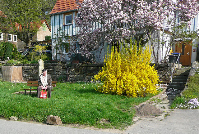 Frühling vor meinem Haus