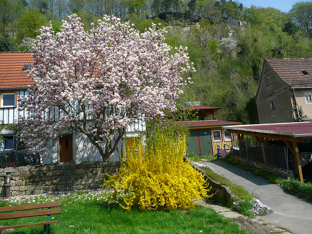 Frühling vor meinem Haus