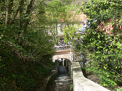 Blick in den Biergarten