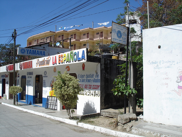 Puerto Angel, Oaxaca. Mexique / 25 janvier 2011.