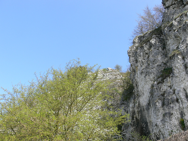 Naturschutzgebiet Weltenburg