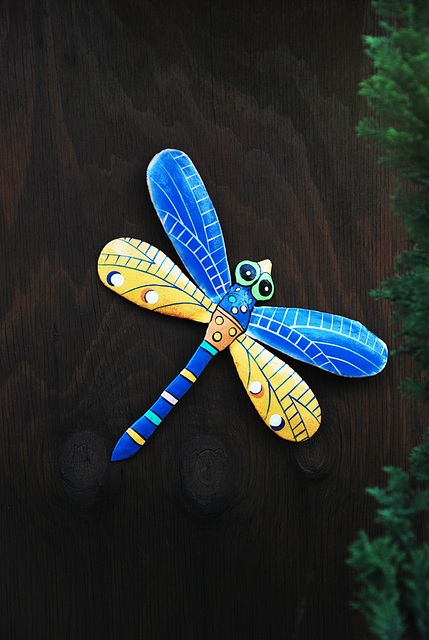 Très rare libellule bicolore