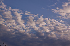 20110303 0217RAfw Kemer