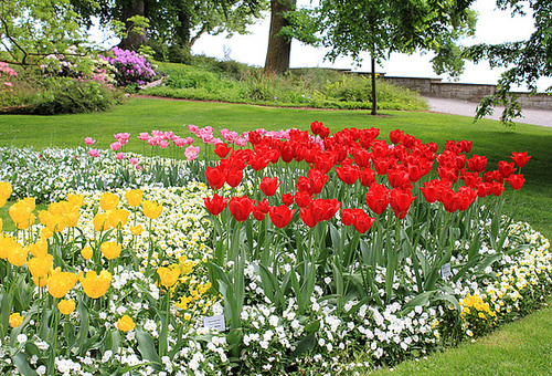 Insel Mainau