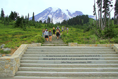 Steps at Paradise Visitor's Center