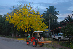 Return home from fieldwork