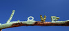 Salvation Mountain (9075)
