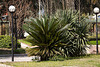 20110304 0255RAfw Kemer