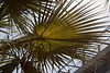 20110304 0261RAfw Kemer Sonnenschirm