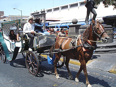 Guadalajara, Mexique / 19 mars 2011.