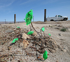 Bombay Beach (9055)