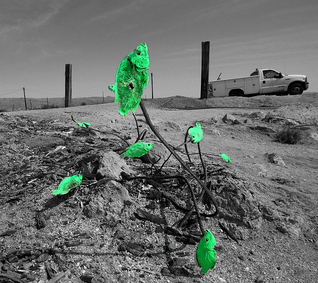 Bombay Beach (9055A)