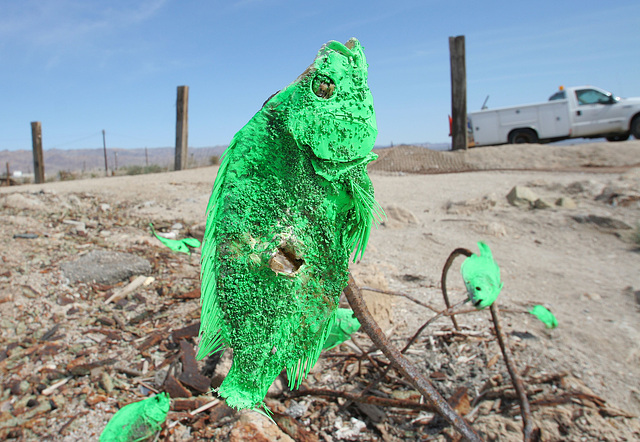 Bombay Beach (9056)