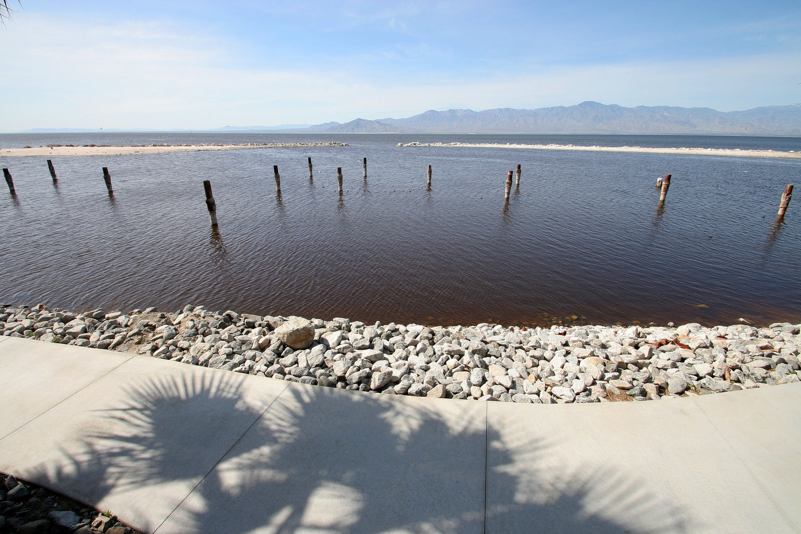 North Shore Marina (9053)